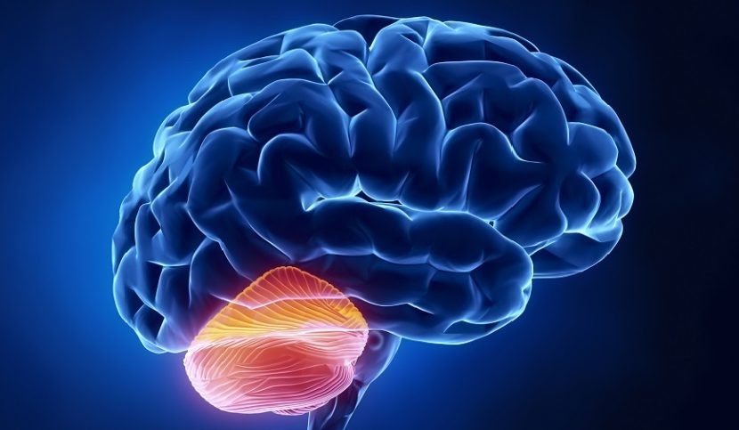 Ataxias | Paris Brain Institute