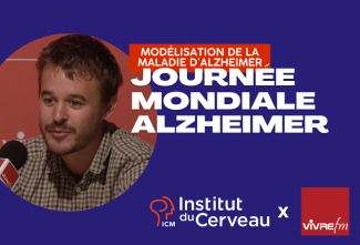 Journée mondiale Alzheimer : Modélisation de la maladie d’Alzheimer