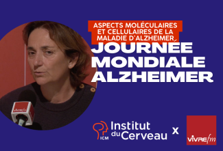 Journée mondiale Alzheimer : Aspects moléculaires et cellulaires