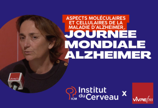 Journée mondiale Alzheimer - Aspects moléculaires et cellulaires de la maladie d’Alzheimer
