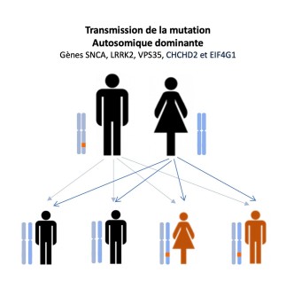 autosomique dominante