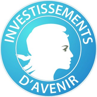 Logo investissements d'avenir