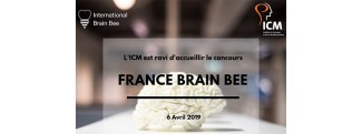 Visuel de France Brain Bee, concours international 