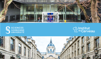 L'Institut du Cerveau et la Sorbonne en photo