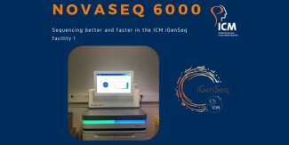 NovaSeq 6000