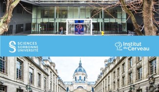 L'Institut du Cerveau et la Sorbonne en photo
