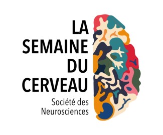 Semaine du Cerveau : trois conférences au programme