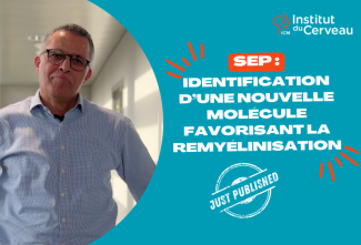 Just published - Sclérose en plaques