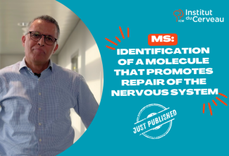 Multiple Sclerosis: Identification of a Molecule that Promotes Repair of the Nervous System