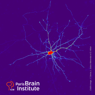 Imaging the Brain: New Probes & Approaches