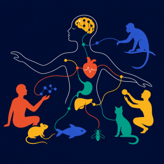 The Body in Dialogue: How the Brain Communicates with Organs