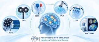 Noninvasive Brain Stimulation Intensive Hands-On Training for Scientists and Clinician Scientists