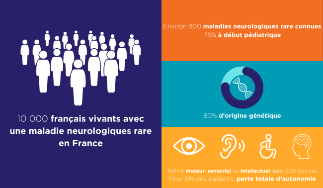 Infographie maladies neurologiques rares