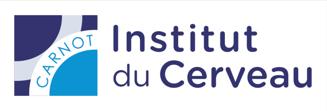 Logo Carnot Institut du Cerveau