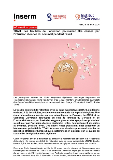 TDAH : les troubles de l’attention sont associées à l’intrusion d’ondes du sommeil pendant l’éveil